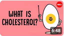 What actually causes high cholesterol? - Hei Man Chan