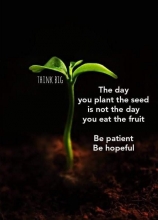 The day you plant the seed ...