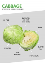 CABBAGE
